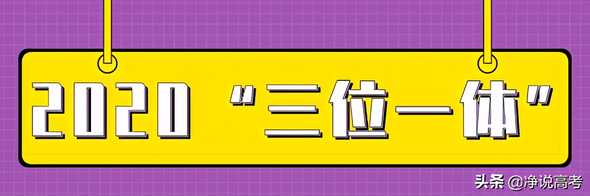 浙江加大综合素质评价,浙江三位一体综合素质评价