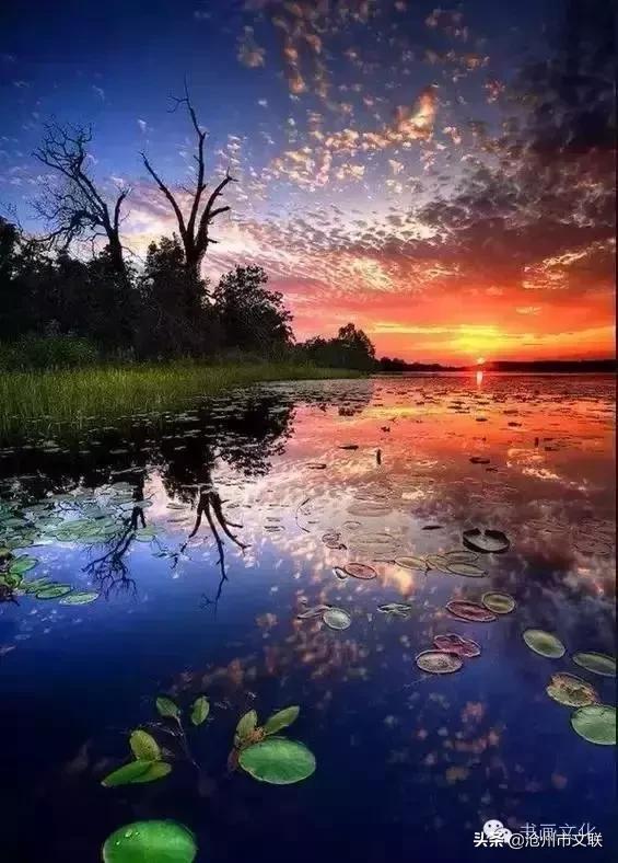 今生不渡此身更待何时渡原话,今生不借此生渡