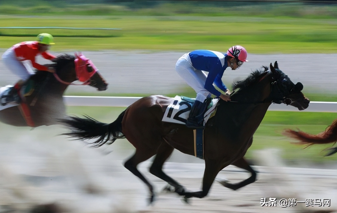 「调研」海南开展赛马行业及赛马*彩博**业的可行性研究