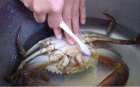 吃螃蟹需要处理哪些地方,螃蟹所有部位吃了有事吗
