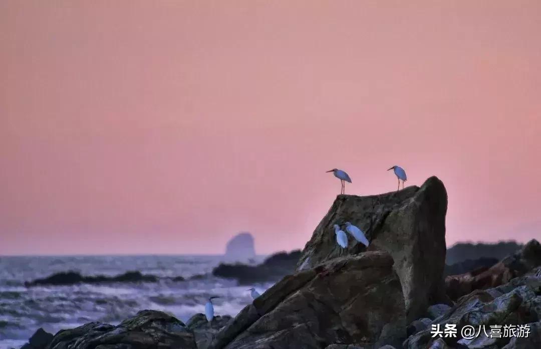 马代奢华岛屿 (斯里兰卡海岛和马尔代夫)