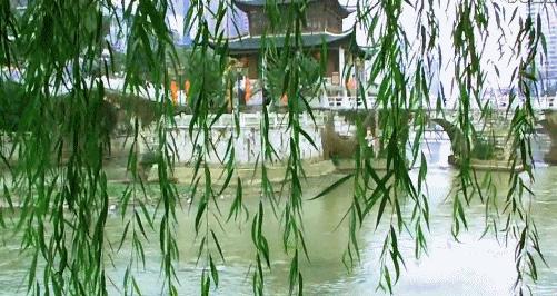 问花水榭诗集,问花古诗翻译