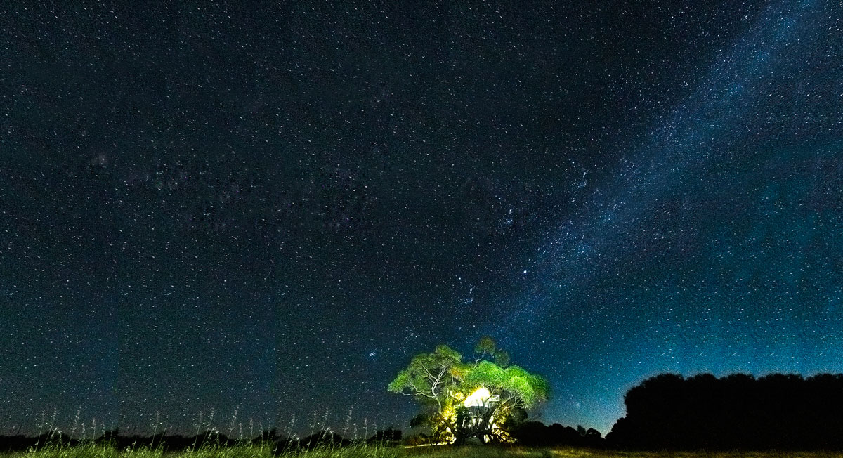 探秘美好氧气女装店：把澳大利亚袋鼠岛搬到城市中央