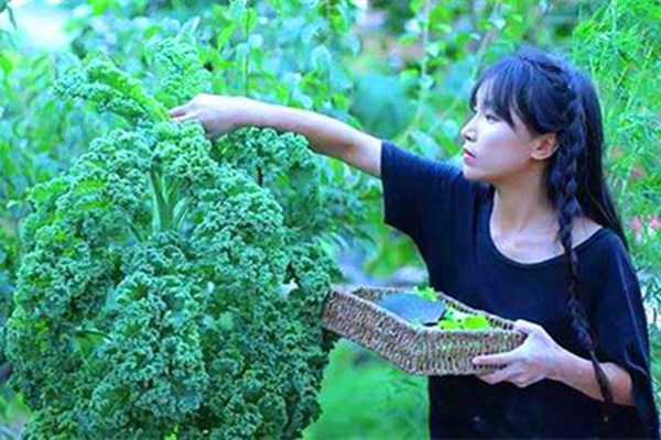 马云谈农村未来有什么发展前景,马云说未来发展在农村