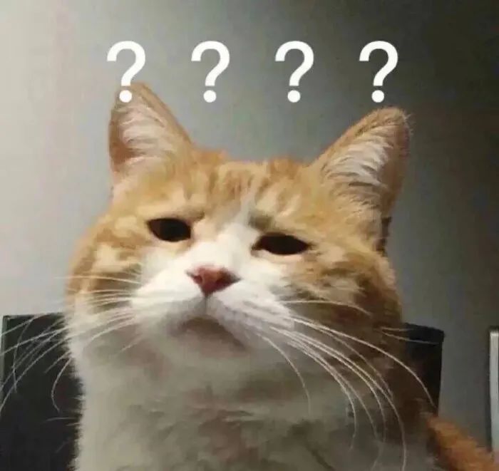 中华田园猫缺点有哪些,中华田园猫有多不受待见