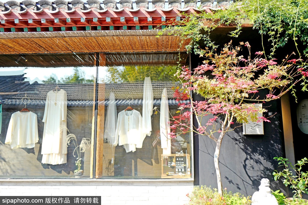 北京文艺小众胡同,胡同里有韵味的小店