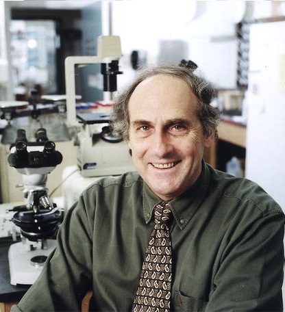 肿瘤免疫治疗的故事连载二十四,肿瘤免疫治疗的故事