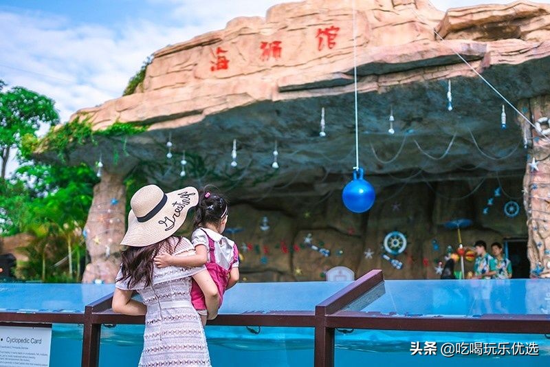 厦门灵玲动物王国大熊猫,厦门马戏团灵玲动物王国观光游览