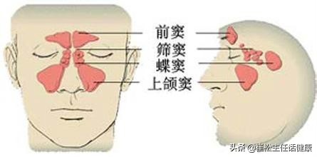 疫情期间常见症状的自我诊察及对策（上）