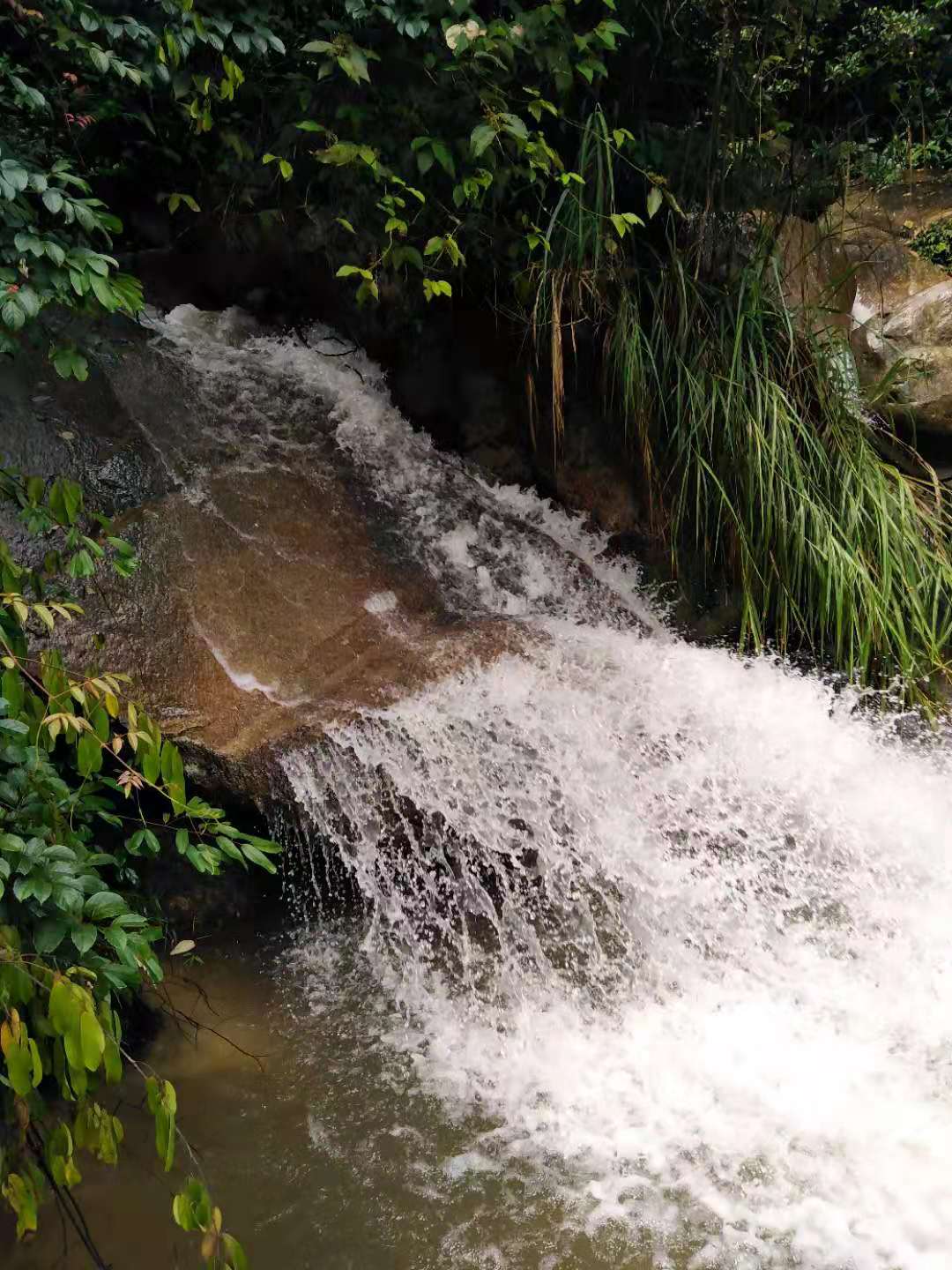 深山野河鱼好钓吗,深山小溪钓什么鱼比较好