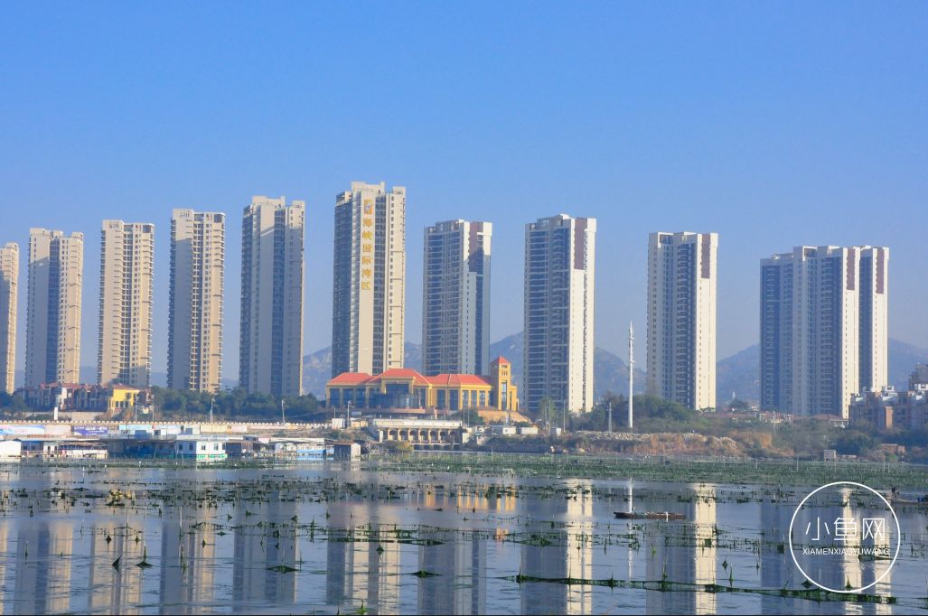 鬼城or未来可期？我们走进漳州港，发现“接盘侠”的各种悲喜交加