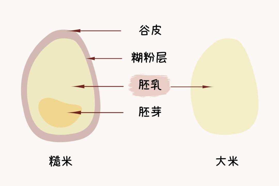 成大事者必备的3大底层逻辑,真正厉害的人三大底层逻辑