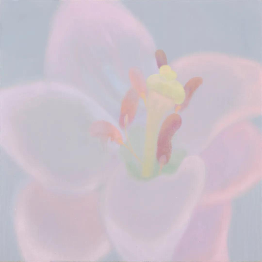 京美三人中必有我师焉，择其善者而从之