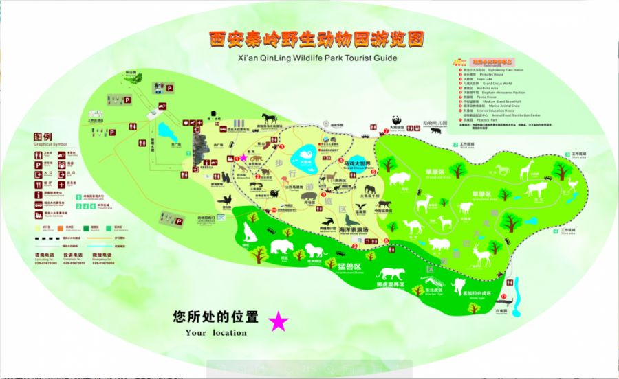 游园30秒,夏日游园攻略