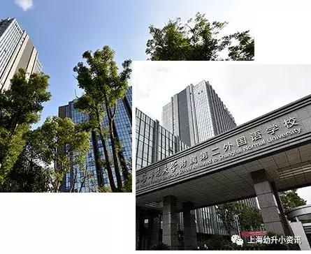 上海非沪籍学生可选的民办小学,上海比较好进的民办小学