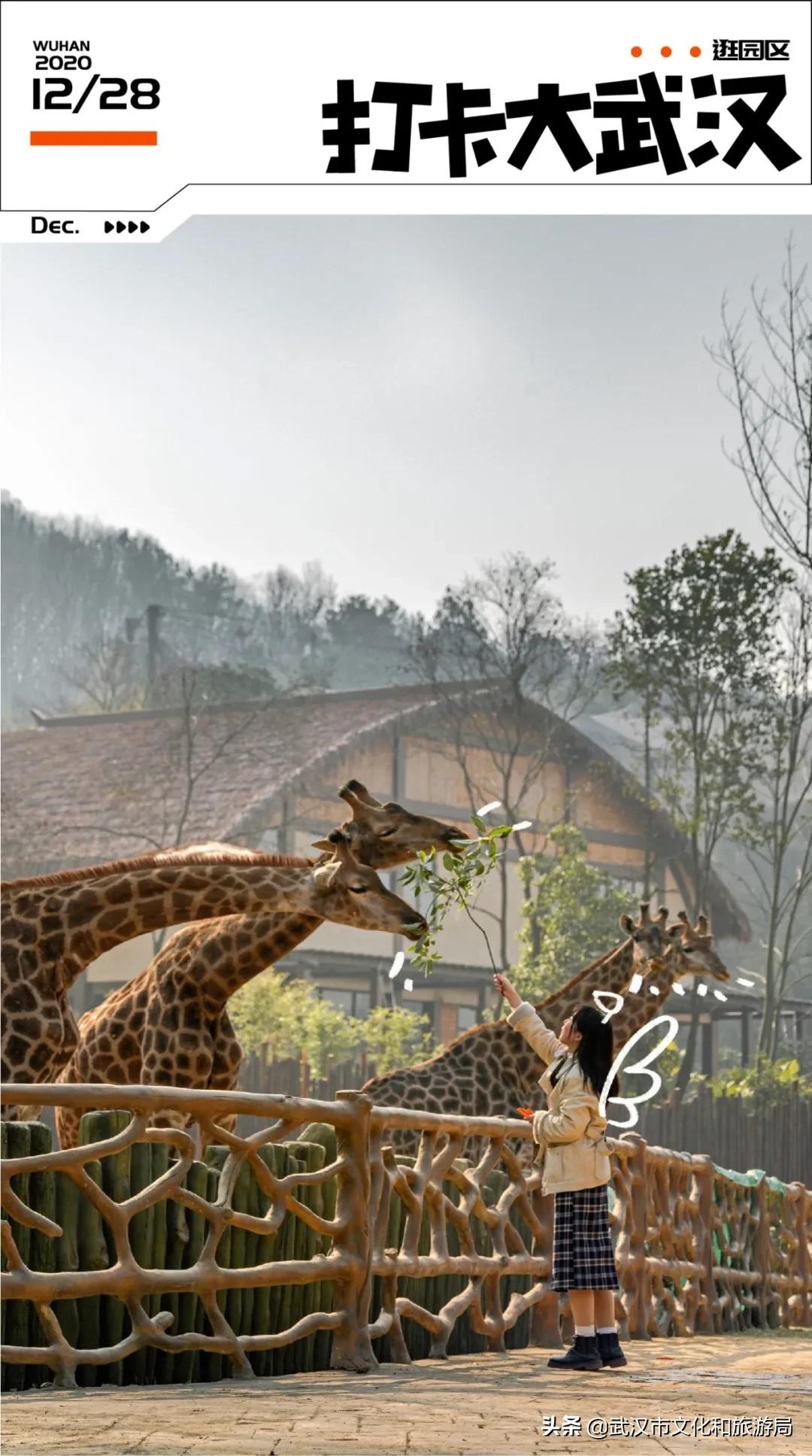 武汉野生动物王国营业时间,武汉野生动物王国有哪些园区