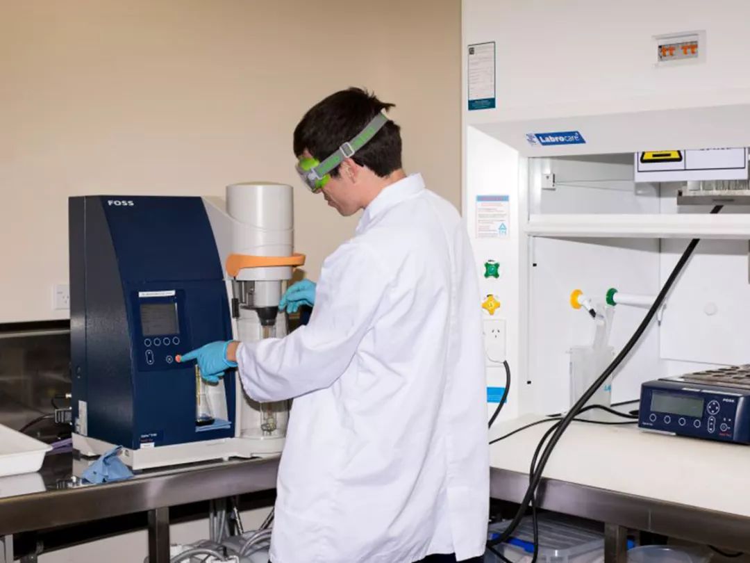 伊利新西兰牛奶,伊利未来牛奶谷基地