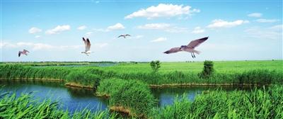 大水大绿成大美绿色转型正当时──“壮丽70年奋斗新时代”宁河区发展成就综述