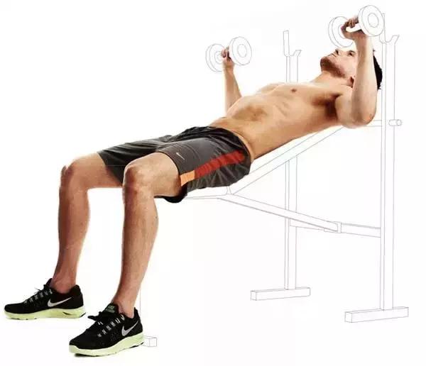 街头健身新手训练方案全身,一周练遍全身肌肉健身计划