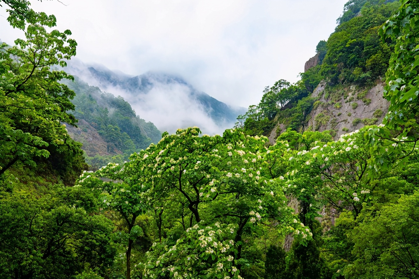 雁荡山旅游攻略三日游价格,雁荡山一日游最佳攻略