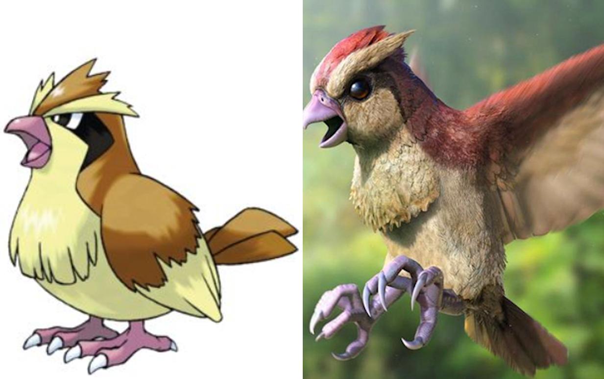 现实版神奇宝贝！一个比一个可爱，三地鼠真是逗了！