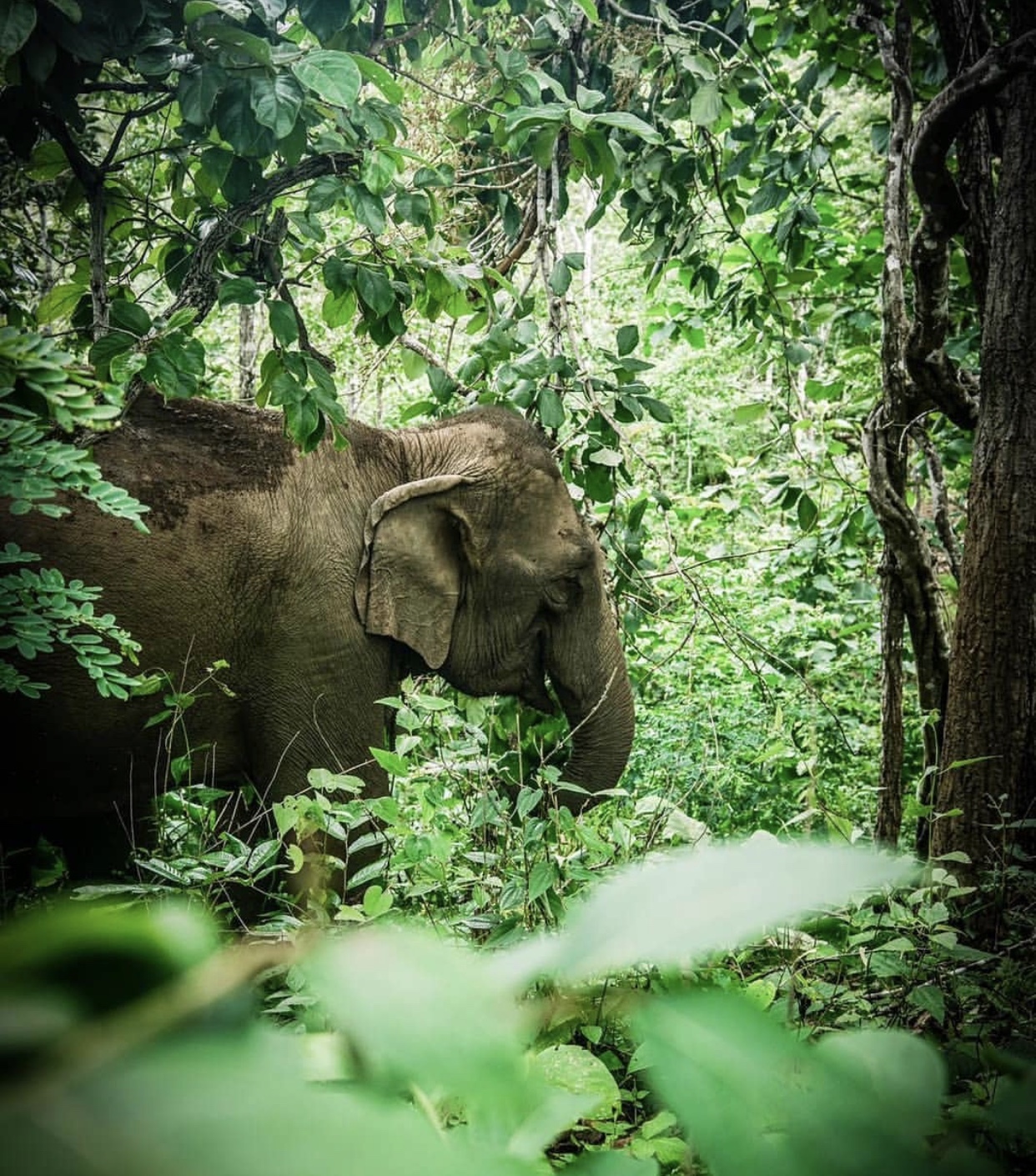 3000元即可出国旅游的7个好去处,小众便宜的出国旅游地