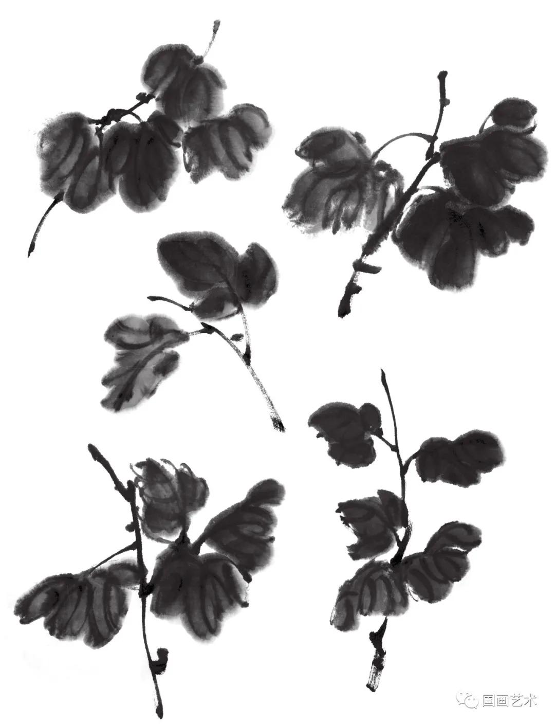 国画写意菊花龙爪菊,写意菊花画法教程简单