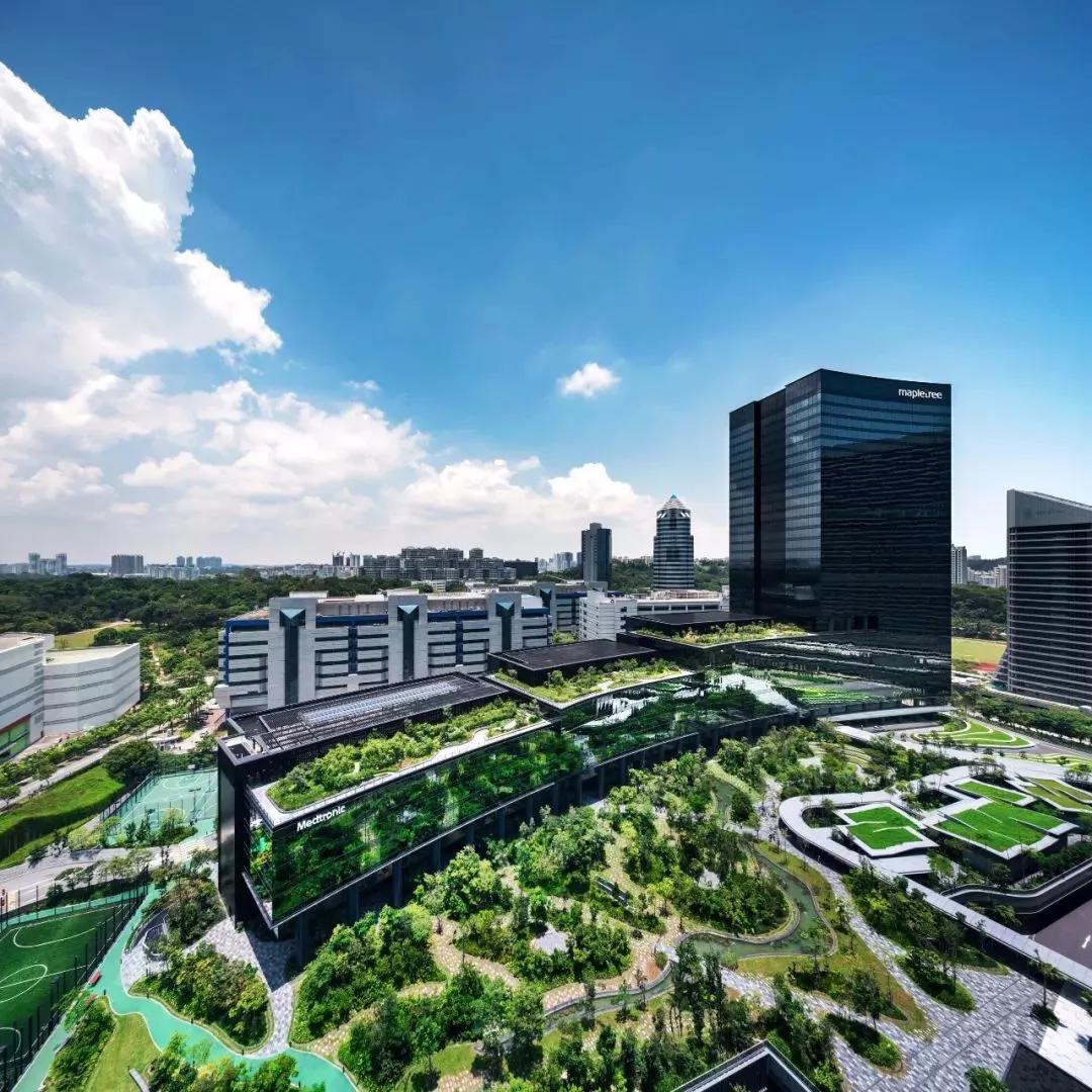 商业街景观设计案例及原则,商业街景观设计案例