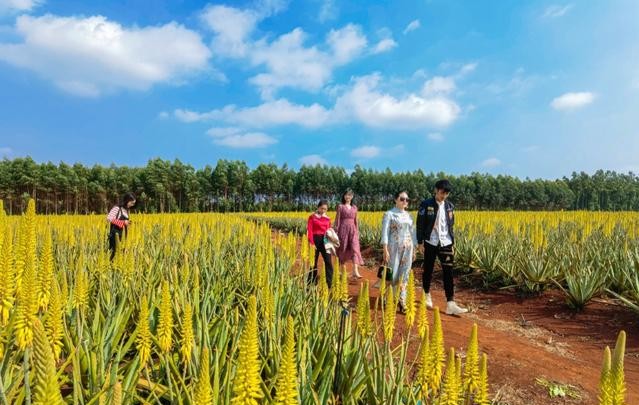 广东适合养老的4个优美小城，水质佳空气好，环境舒适安逸