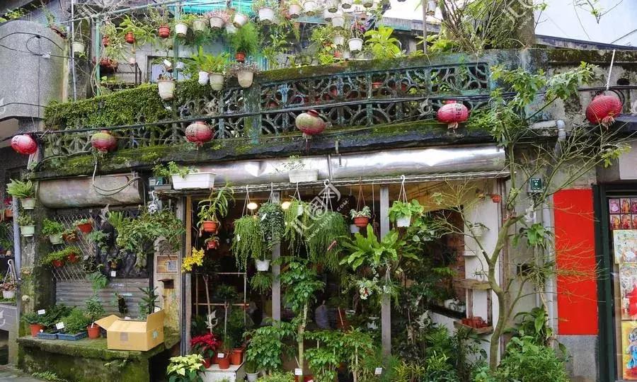 开花店怎么学技术,开花店零基础知识