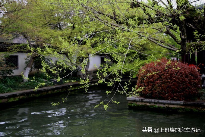 周末微旅行：秦望山麓访名校，白沙堤岸醉桃柳（第二季）