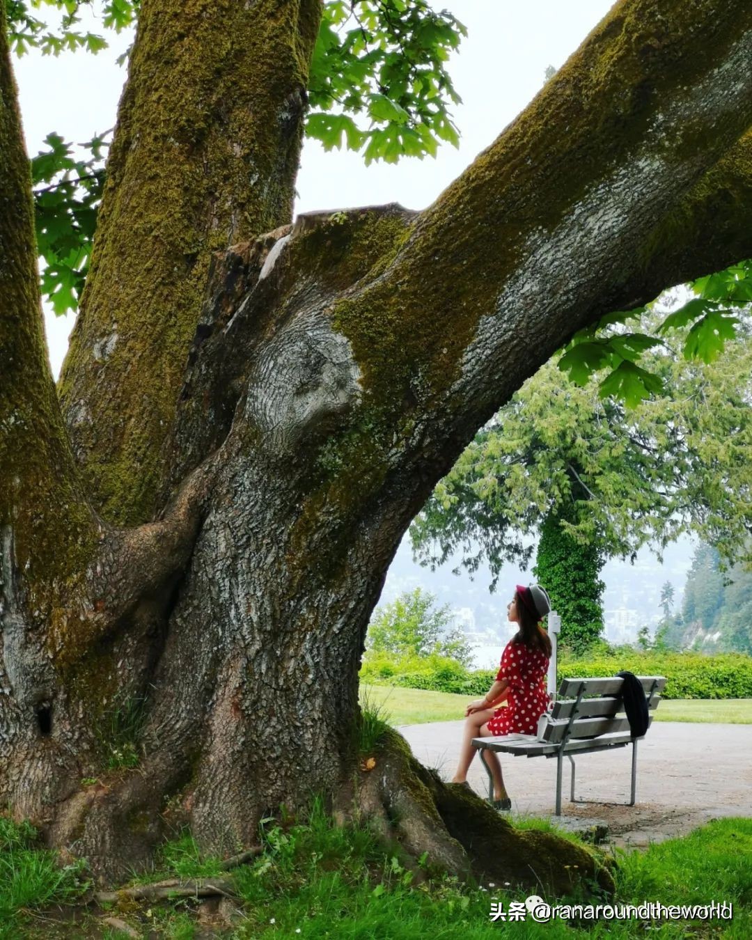 从温哥华自驾去班夫国家公园路线,温哥华到班夫国家公园沿途风景