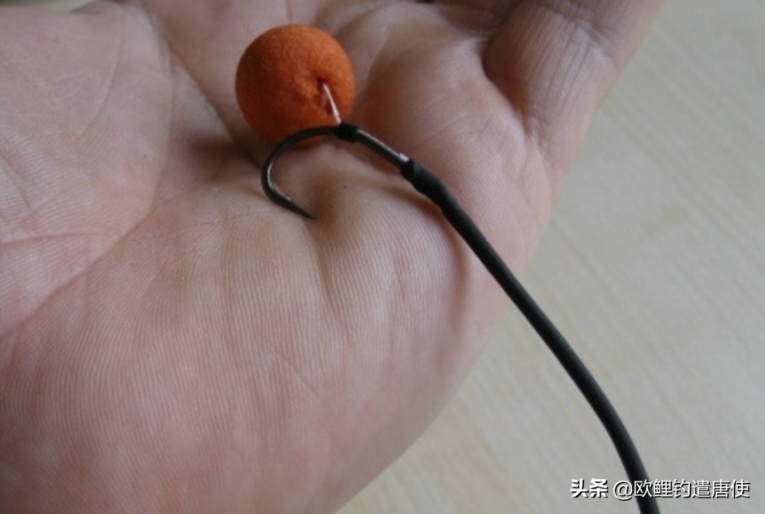 欧鲤钓必须用弯背钩吗,欧鲤钓真的那么厉害吗