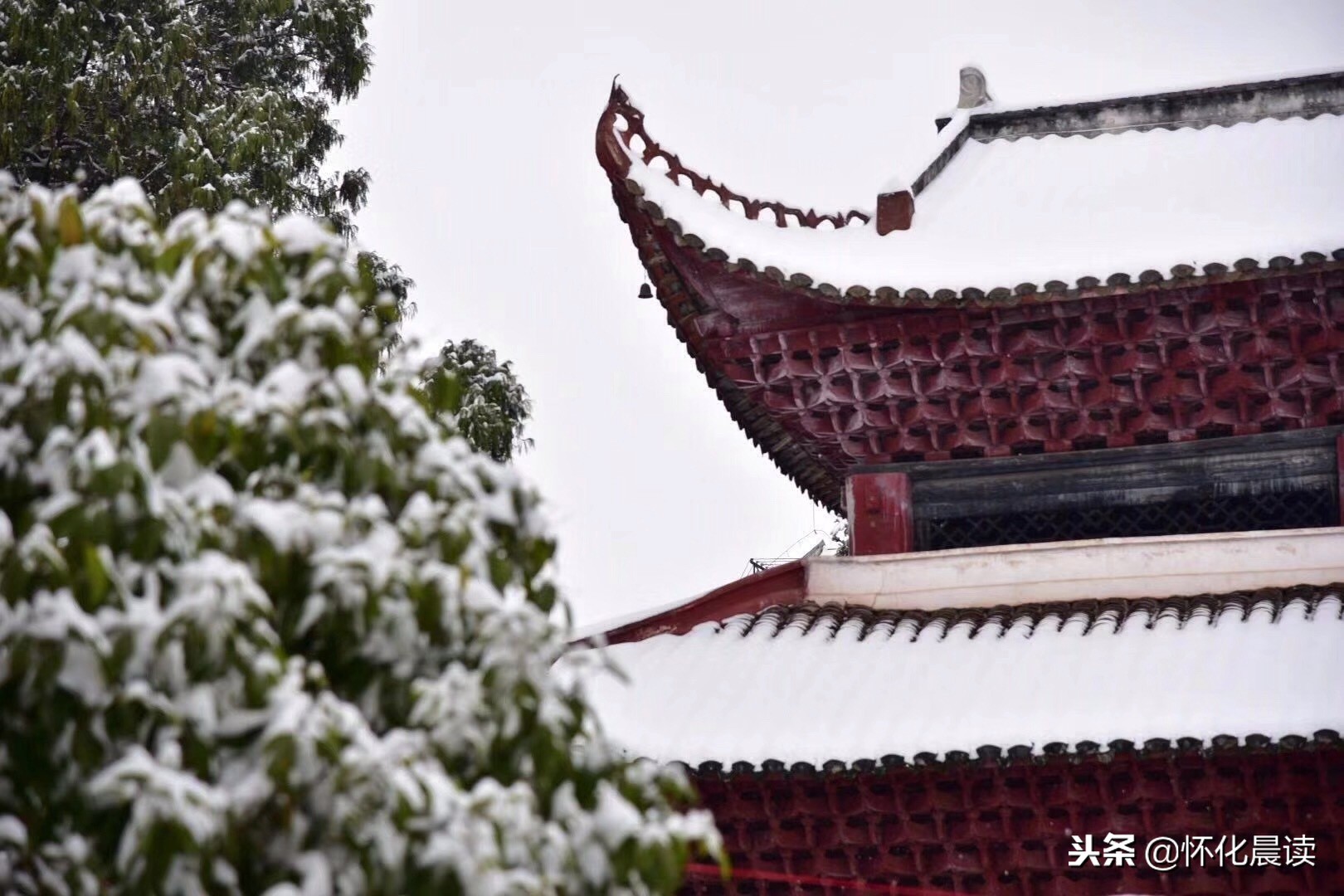 一场雪惊艳了一座城视频,一场雪激发了多少创造力