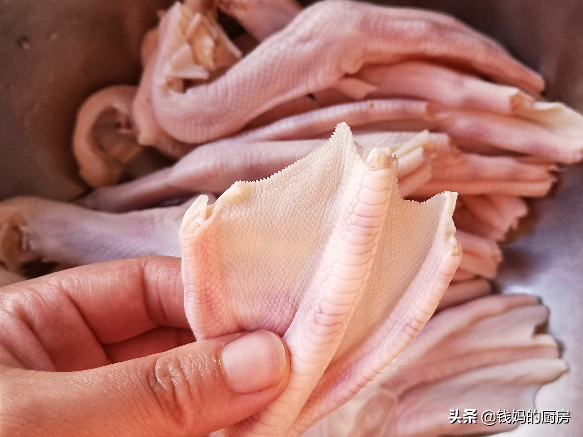 这是老妈最爱的美容菜，胶质多多、好吃解馋，1次吃1盘也不嫌多