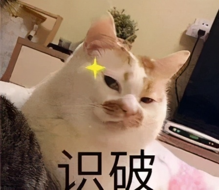 足球界陈冠希爆红,陈冠希人生低谷