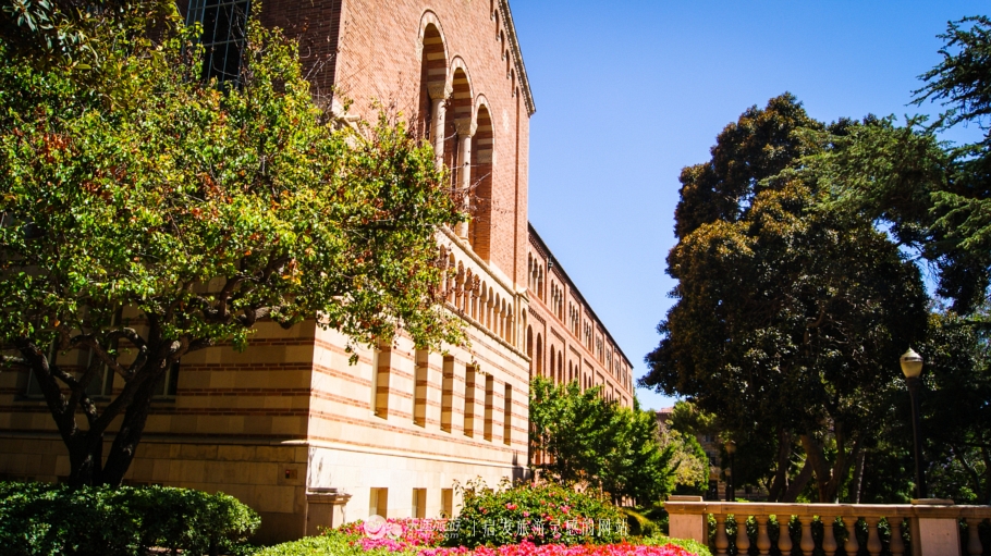 美国加州大学ucla录取条件,ucla加州大学洛杉矶分校女篮