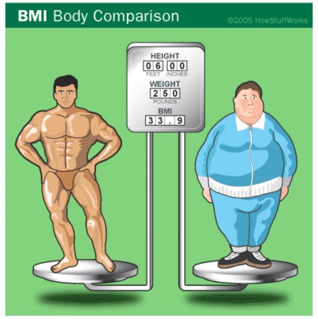 超重和肥胖的标准bmi定义,判断肥胖级的bmi数值