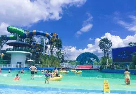 蓝花楹昆明网红打卡地在哪里,昆明周边湿地公园网红打卡地