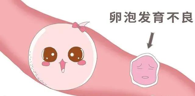 卵泡几天能发育成熟,卵泡发育不好怎么办呀