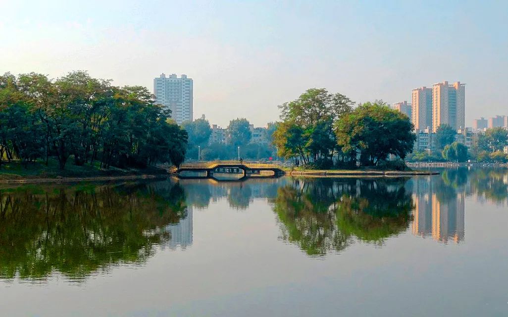 仙鹤起舞水粉画,仙鹤起舞展翅飞