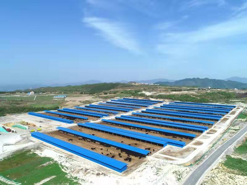 姹囪仛寮曢鏈潵,姹囪仛鏂囧寲鍔涢噺鍔╂帹鍝佺墝寤鸿