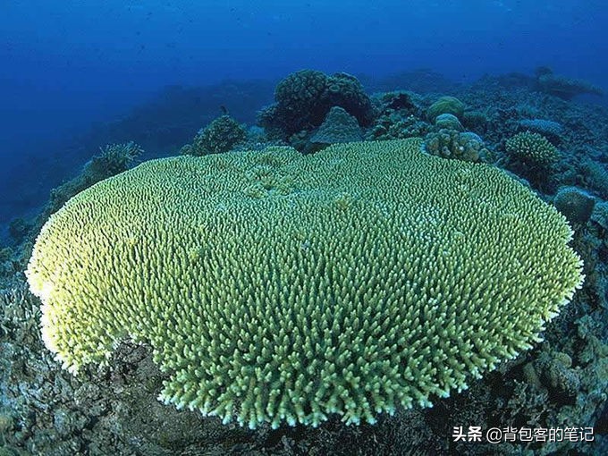 三亚比较安静海滩又特别美的地方,三亚周边绝美的浪漫海滩