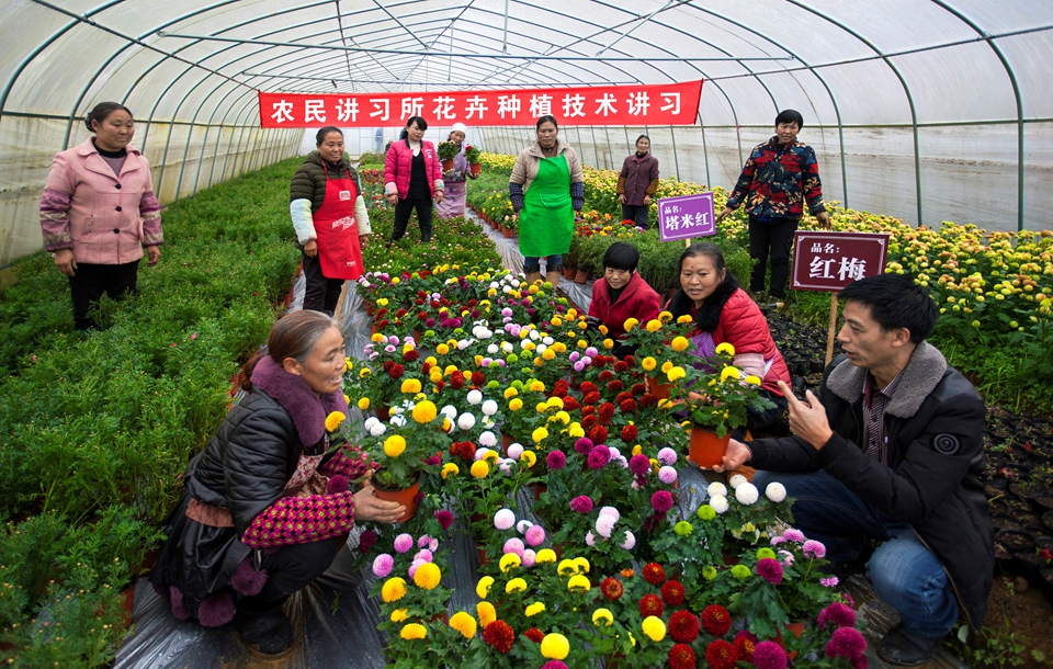 我,50岁,山东女人,老公生意失败欠款1000万,我种花帮他还债