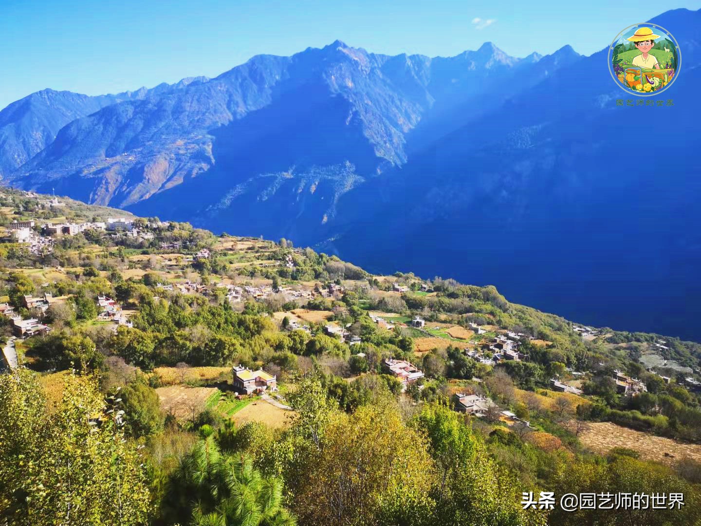 夏季草莓还能开花结果吗,草莓夏季高产