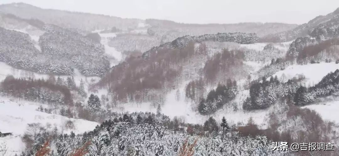 吉林市乡村民宿,吉林白山松岭雪村民宿