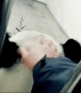 甭管啥就盘它,甭管什么东西盘它原版