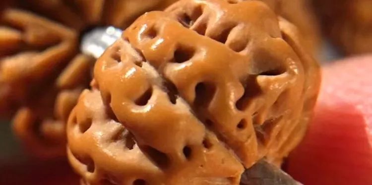 小金刚菩提子各种纹路图片,小金刚菩提的纹路有哪些