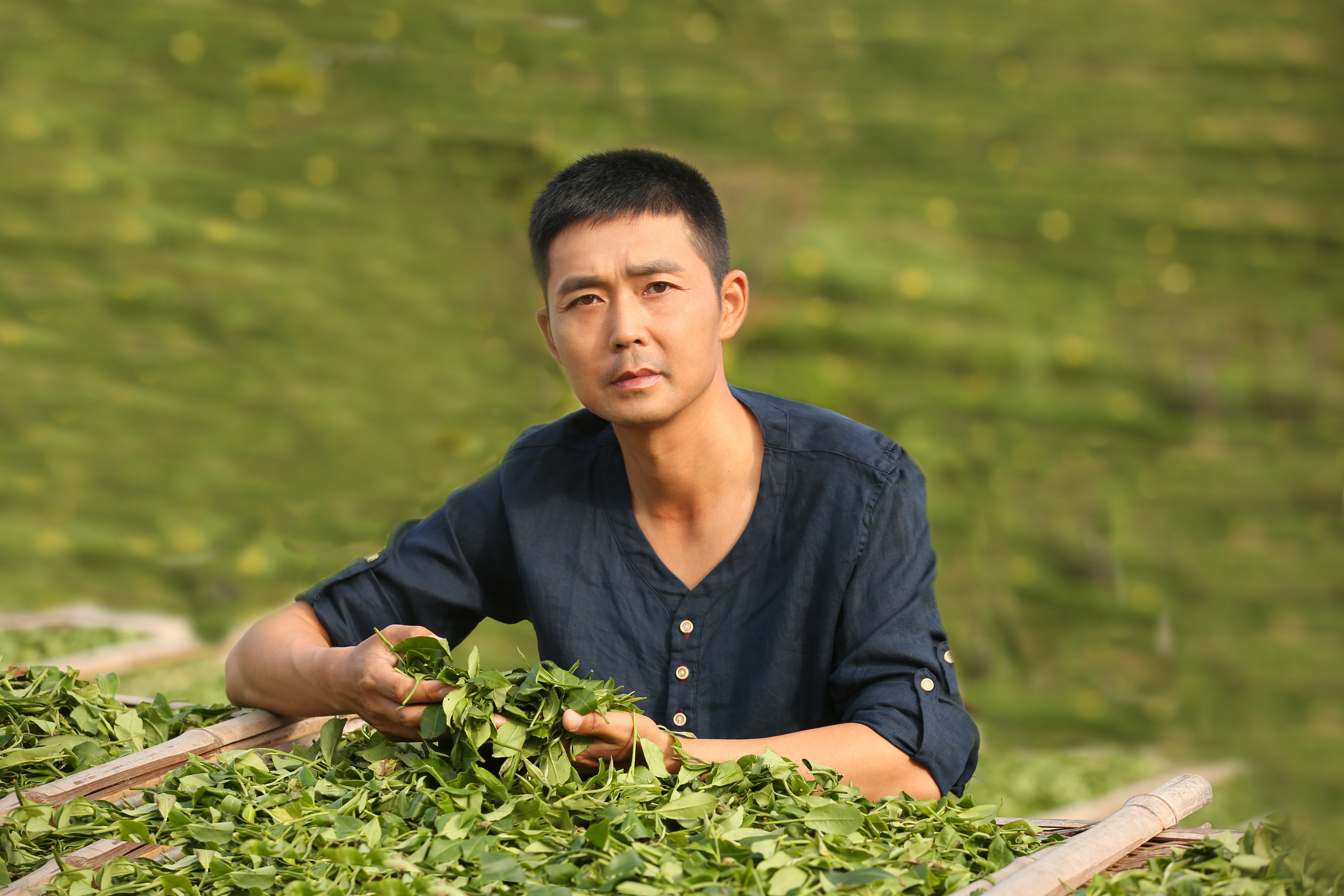 全国茶迷迎来利好消息!这里有顶级专家向您推荐高质量茶王……