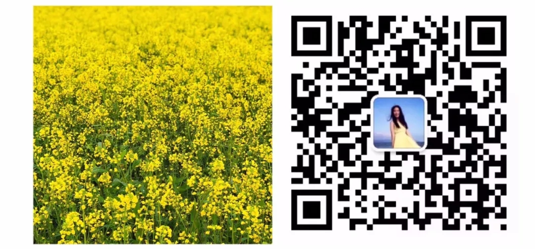 广东四大名园余荫山房窗户,余荫山房和广东四大名园